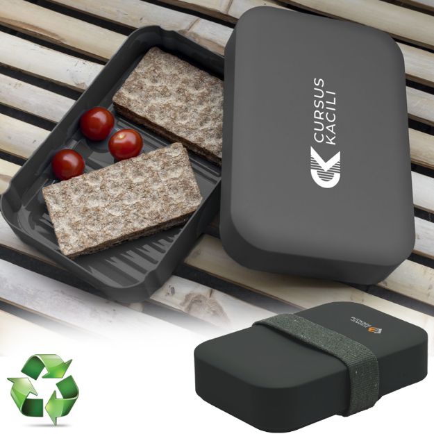 recycled pp lunch box pat