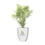 treemore brievenbusboompjes mammoetboom