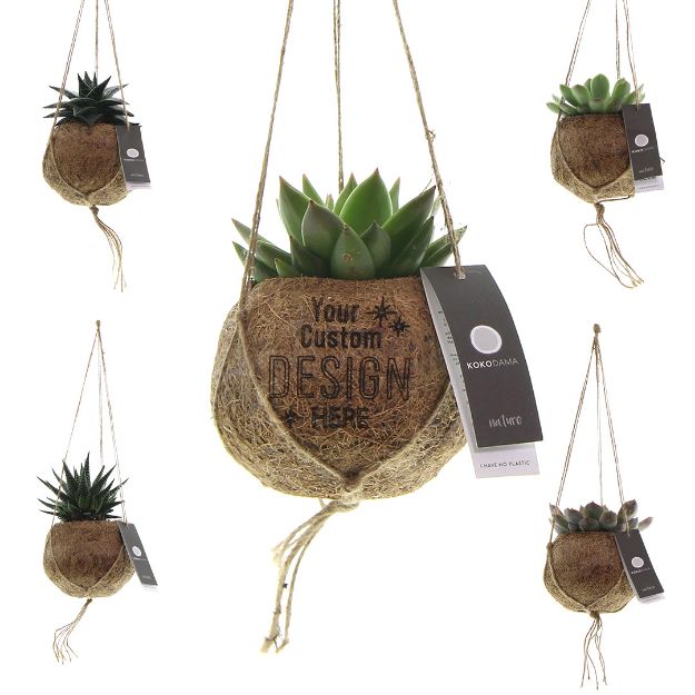 kokodama® - succulent mix - klein