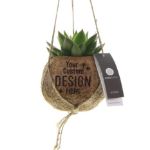 kokodama® - succulent mix - klein