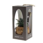 kokodama® - succulent mix - klein