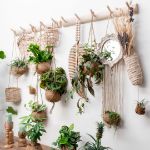 kokodama® - succulent mix - klein