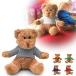 pluche teddybeer in een sweater met capuchon.