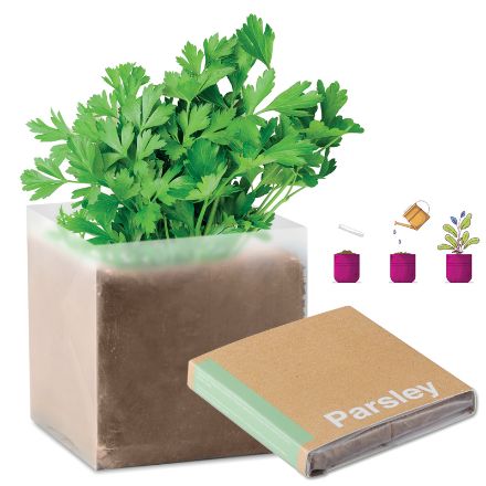 compost met peterselie zaadjes