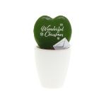 message printz® hartjesplant