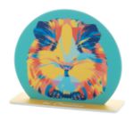 cirkel display clobor. custom made.