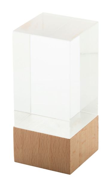 glazen trofee polofi