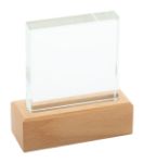 glazen trofee rectofi