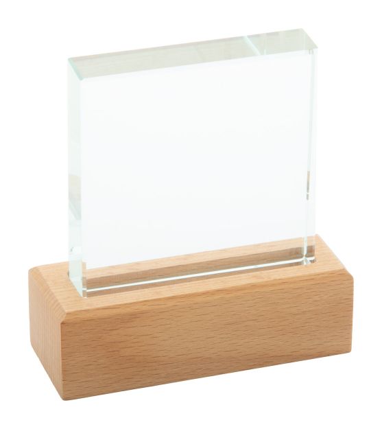 glazen trofee rectofi