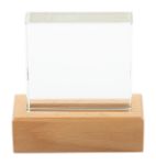 glazen trofee rectofi