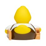 stress eend schrijnwerker