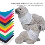 pluche zeehond silvia