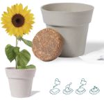 bloempot tumil zonnebloemen