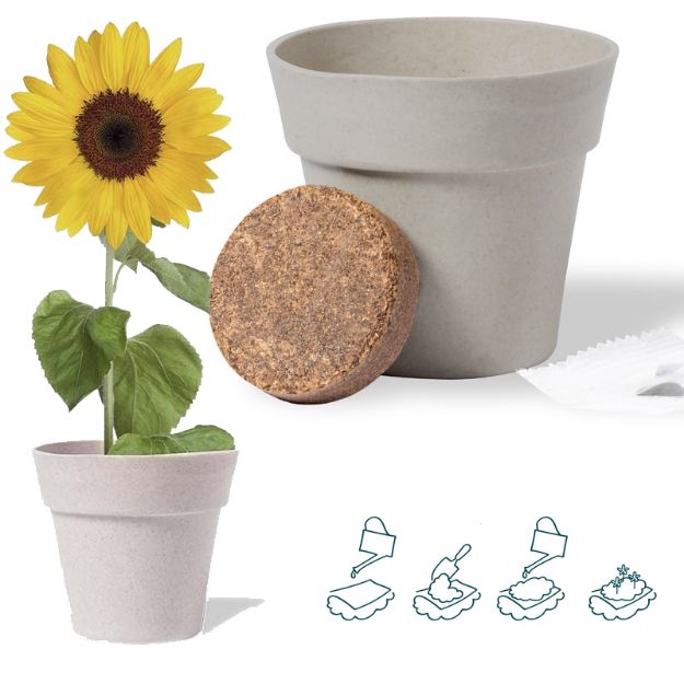 bloempot tumil zonnebloemen