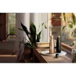 roestvrijstalen fles met metalic afwerking 510 ml