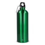 rvs enkelwandige fles met karabijnhaak 750 ml - groen