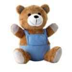 pluchen teddybeer met kleurrijke outfit.