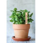 roerstaafje van natuurlijk beukenhout