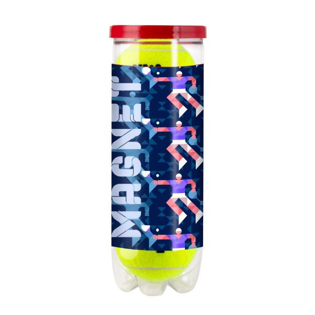 wilson championship tennisballen