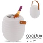 mini wijnkoeler met speaker