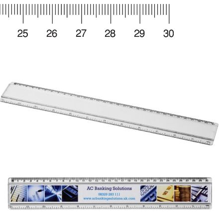 ellison 30 cm kunststof liniaal met papieren inlay