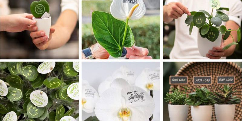 Bedrukte plantjes geven? 