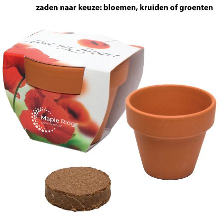 kweeksetje