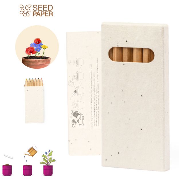 zaad petunia potlood set delar 6 stuks