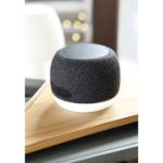 15w speaker met oplader