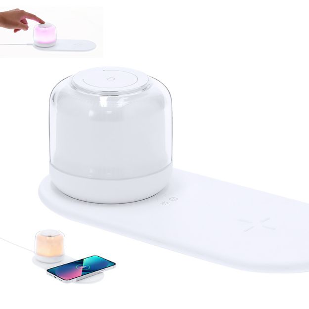 oplader lamp reginal