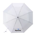 michigan opvouwbare rpet paraplu 21 inch