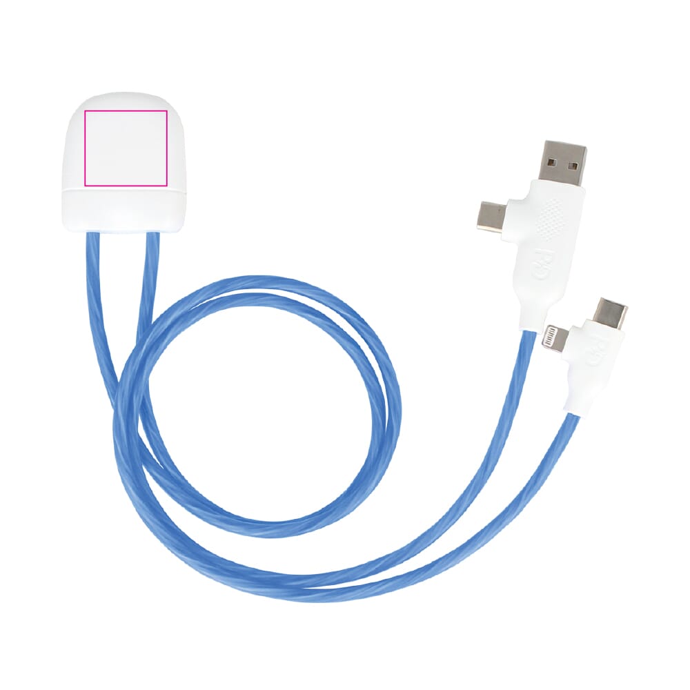 digitale print (24 x 22 mm)