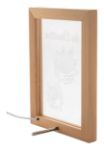 custome made led-licht trofee in houten frame usb