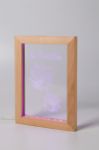 custome made led-licht trofee in houten frame usb