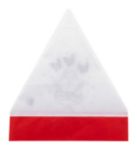 rpet kerstmuts met 5 kleurpotloden