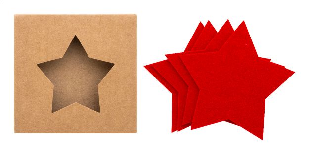 rpet 4 stuks kerst set stervormige onderzetters