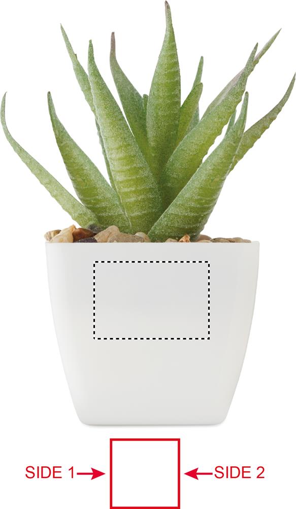 tampondruk (20 x 30 mm)