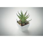 mini kunstplantje in pp aloë ferox molenvorm