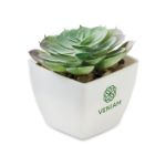 mini kunstplantje in pp echeveria vorm