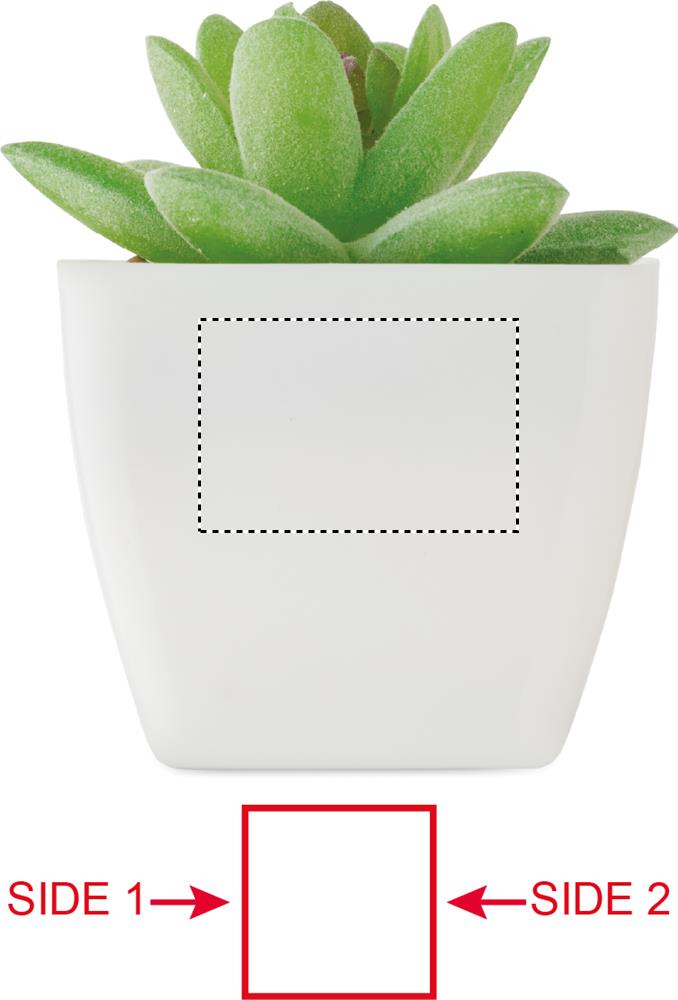 tampondruk (20 x 30 mm)