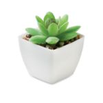 mini kunstplantje graptopetalum paraguayense vorm