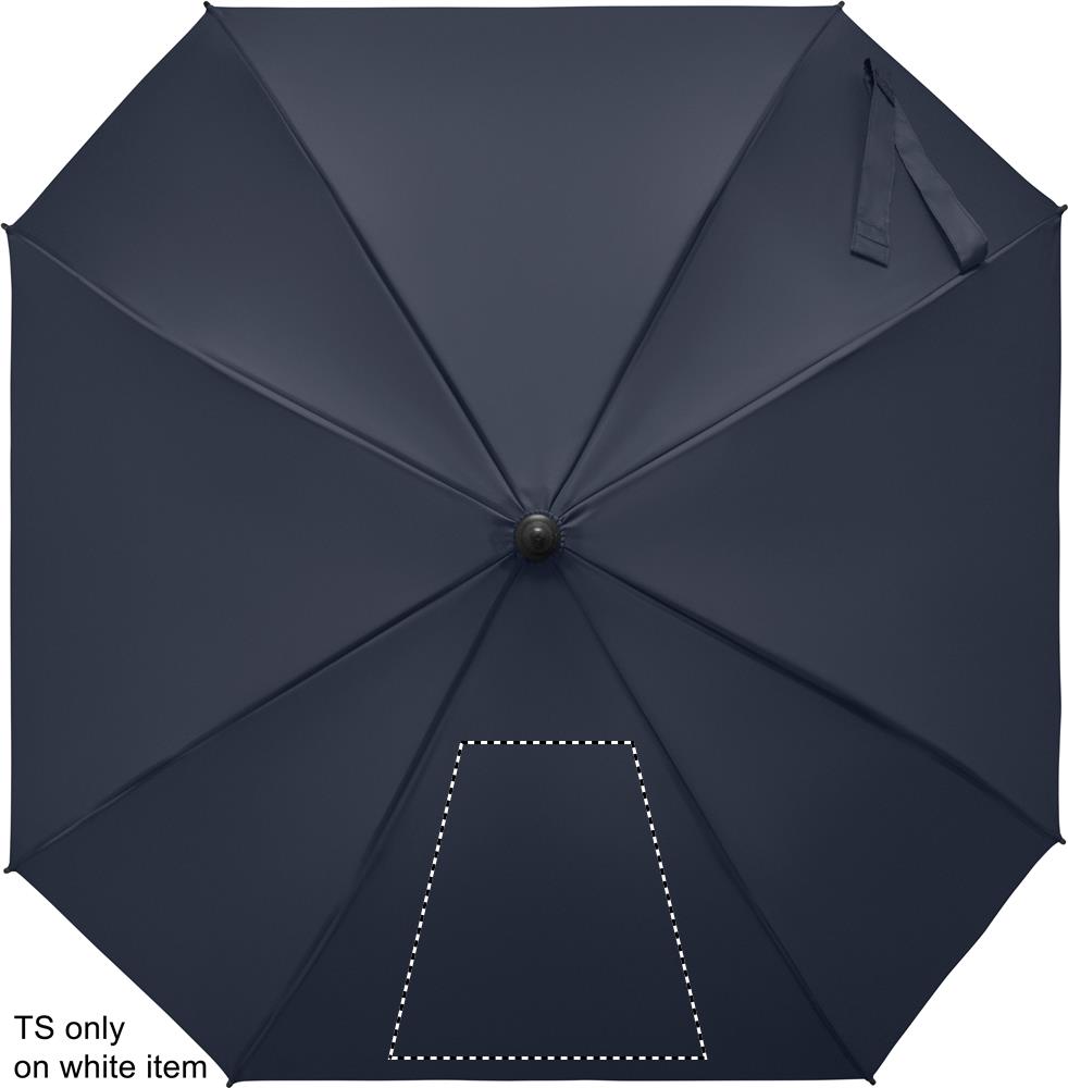 digital transfer <50 cm2 (260 x 260 mm)