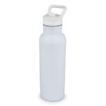 darion vacuüm geïsoleerde thermo fles 500 ml