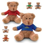 teddybeer met sublimatieprint op t-shirtje