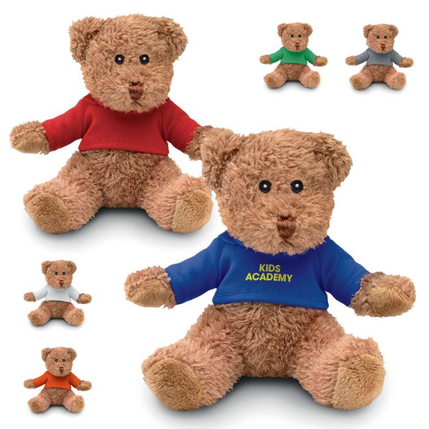 teddybeer met sublimatieprint op t-shirtje