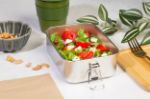rss lunchbox motet 750 ml met veilige gespsluiting