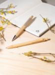 balpen met bamboe body, clip, knop en tip bolter