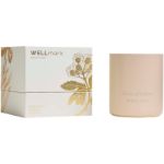 wellmark geurkaars van 100% sojawas luxe