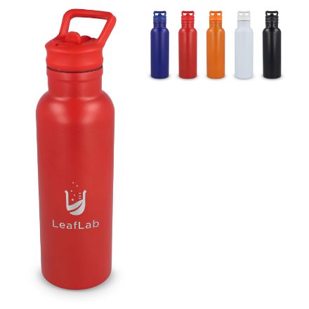 darion vacuüm geïsoleerde thermo fles 500 ml