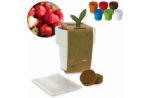 hot-but-cool beker met aardbeien zaadjes